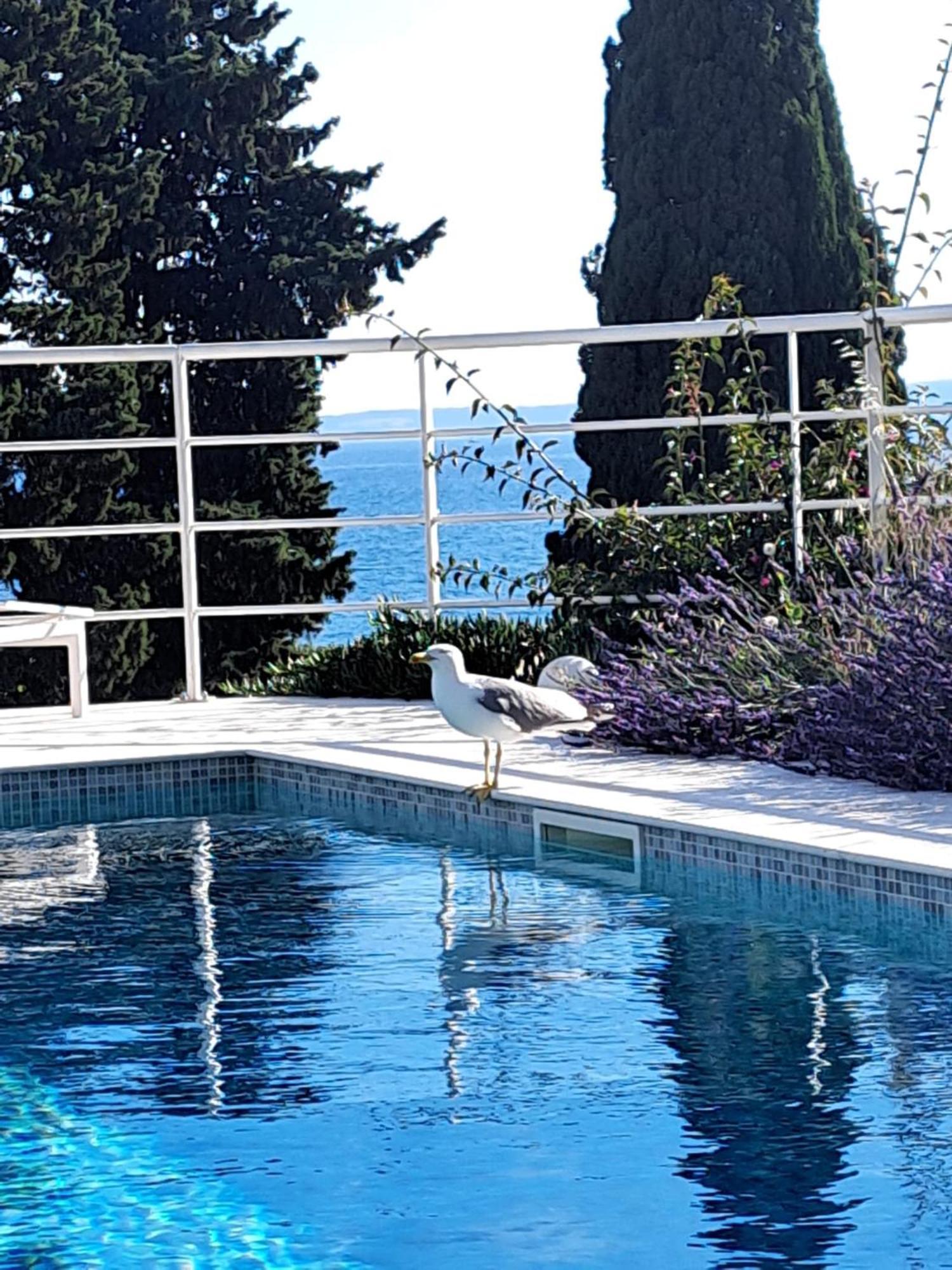 Apartment With Private Pool *